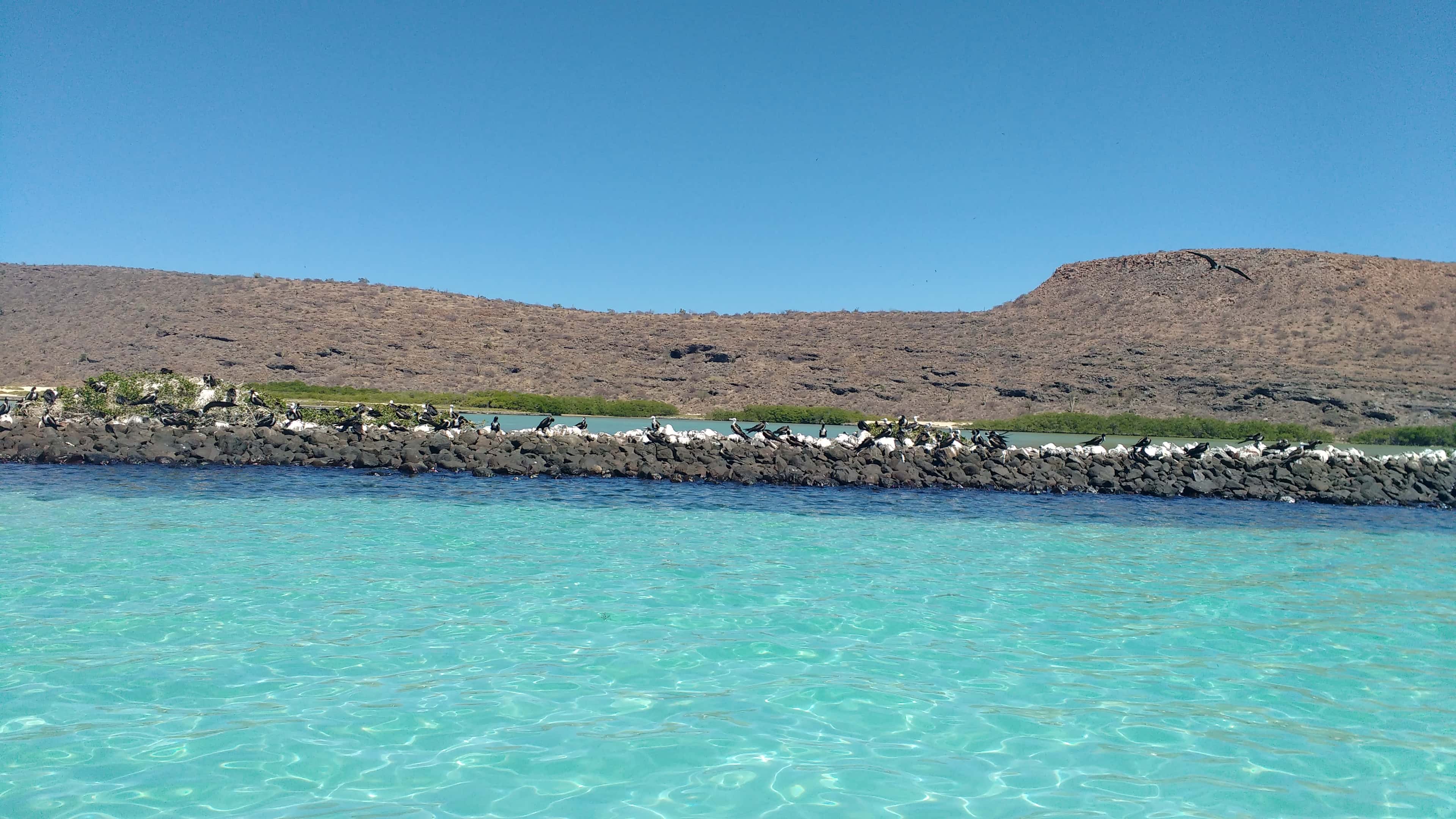 Isla Espíritu Santo: the island's coast and the Sea of Cortez