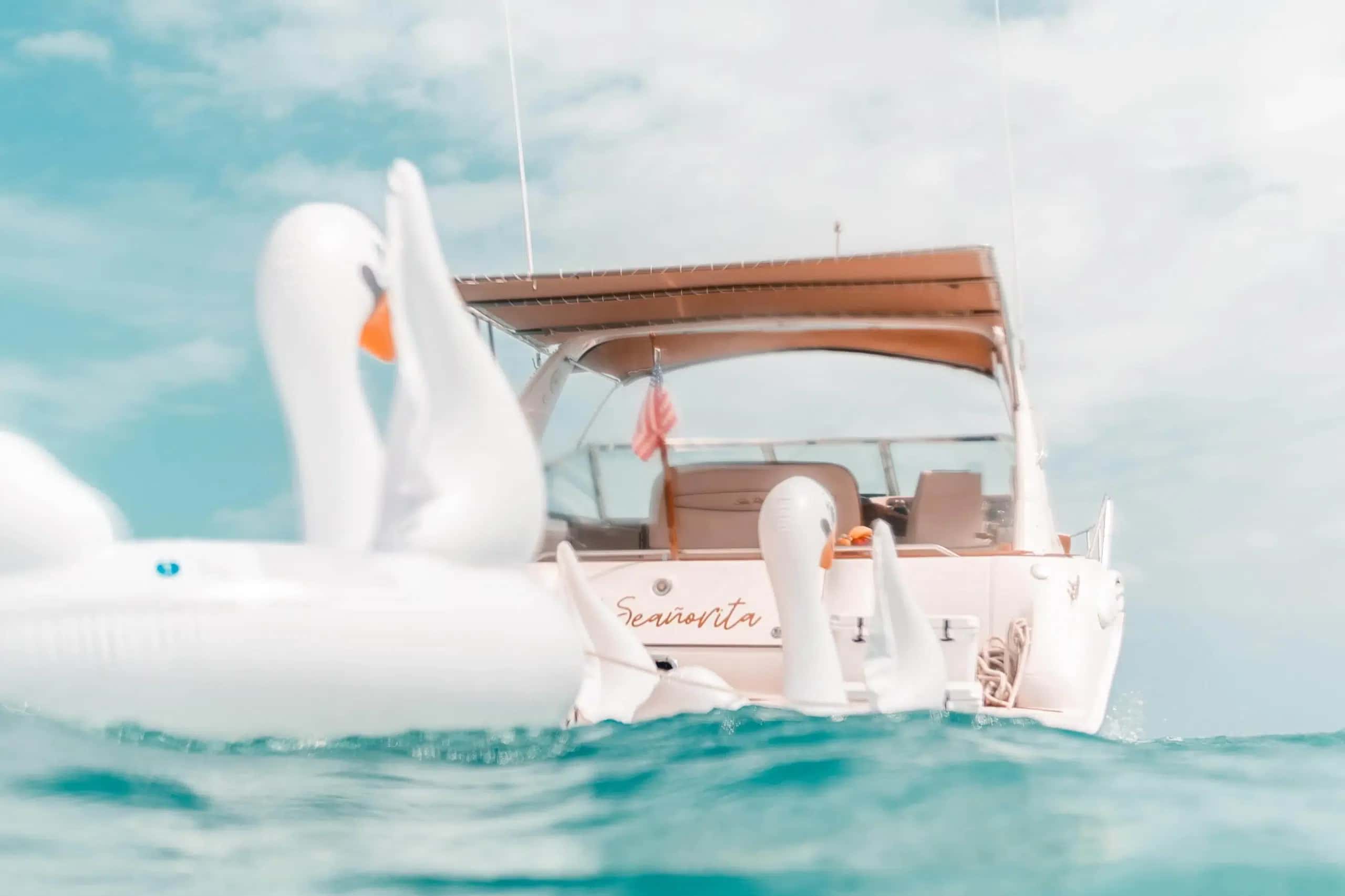 Seañorita from the water astern past a swan float, with the hardtop above the cockpit