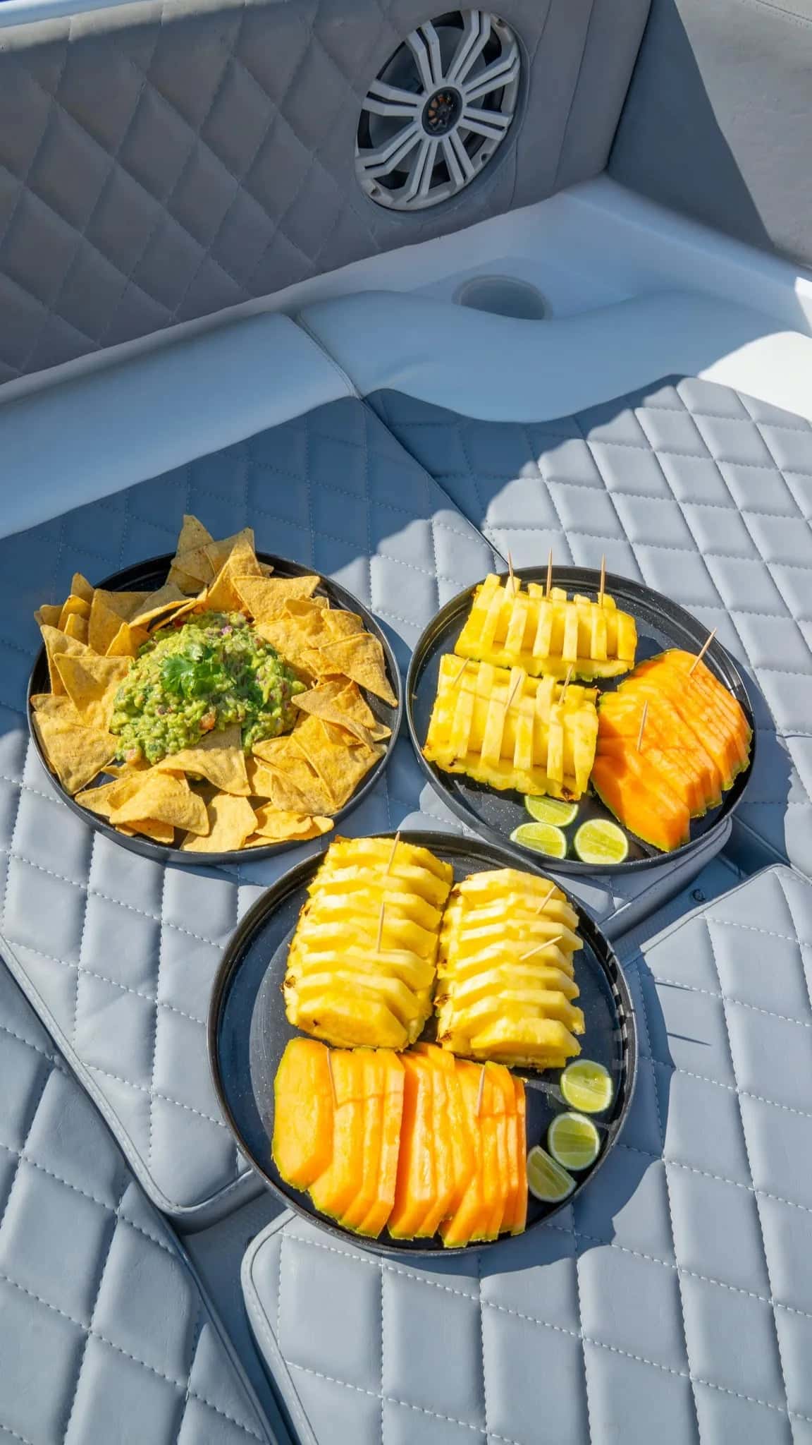 Plates of pineapple, mango, nachos and guacamole set out on a quilted seat