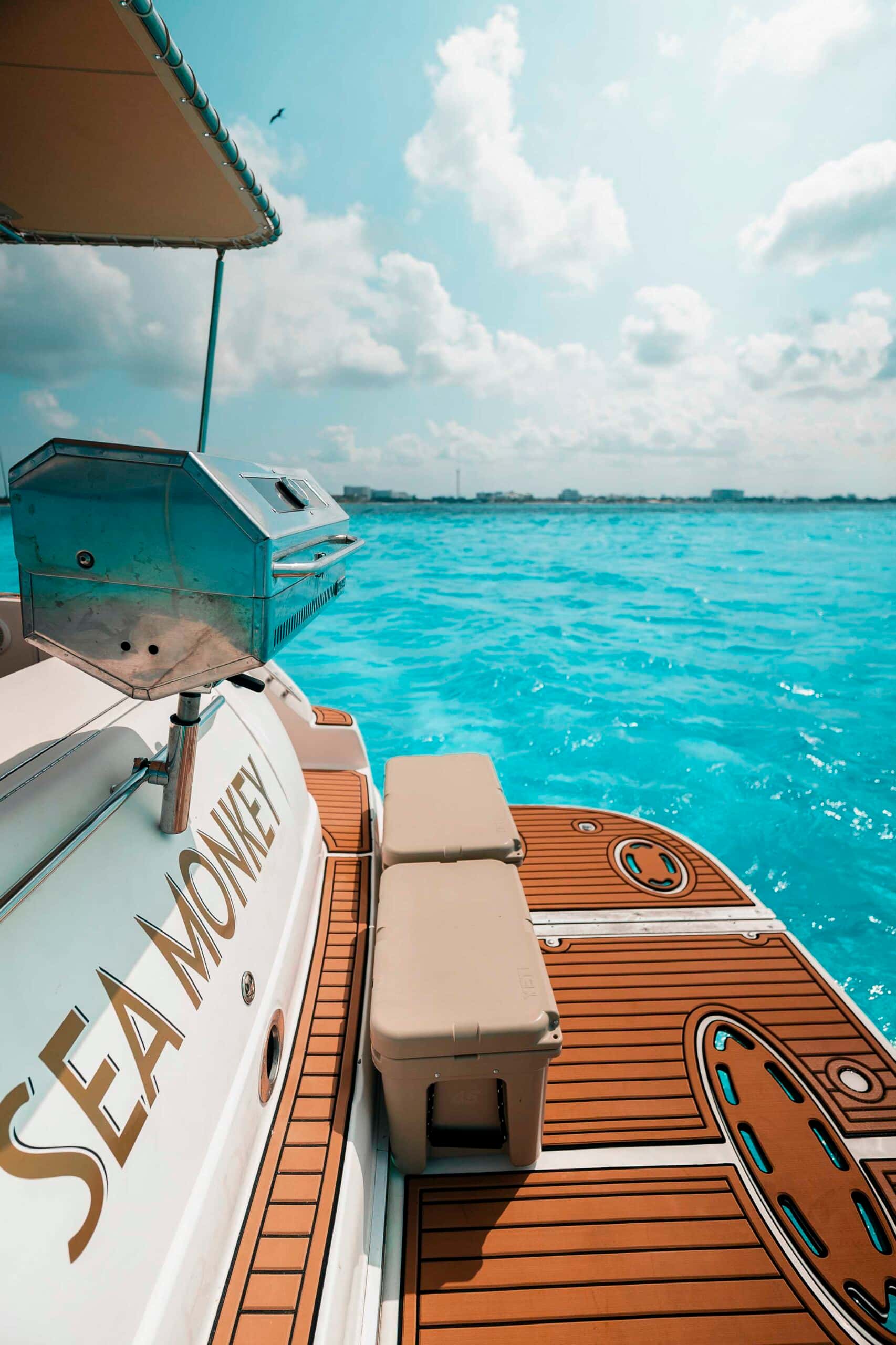 Swim platform of Sea Monkey with a stainless grill and a cooler