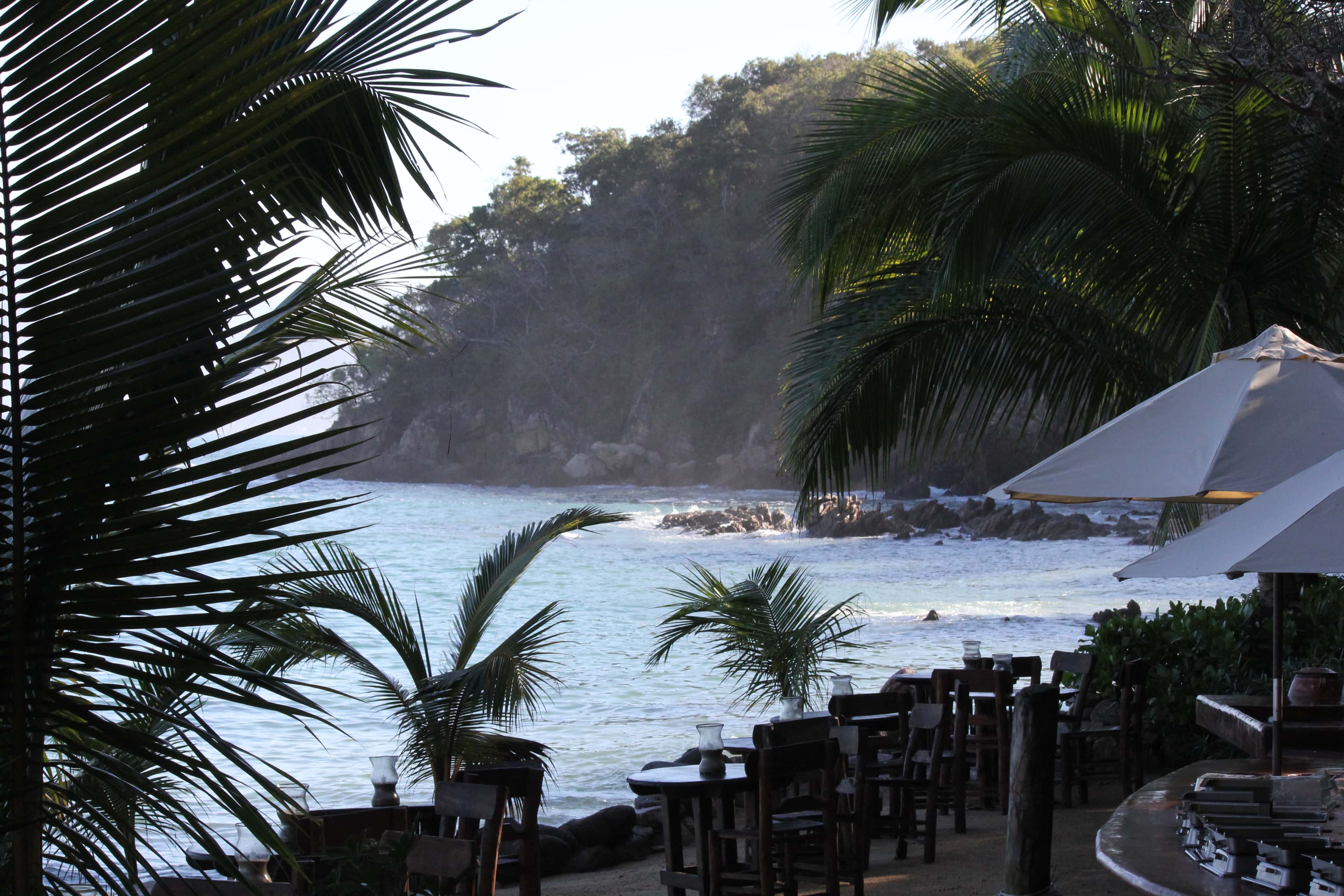 Las Caletas: the cove and its rocks seen through the palms from the beach tables