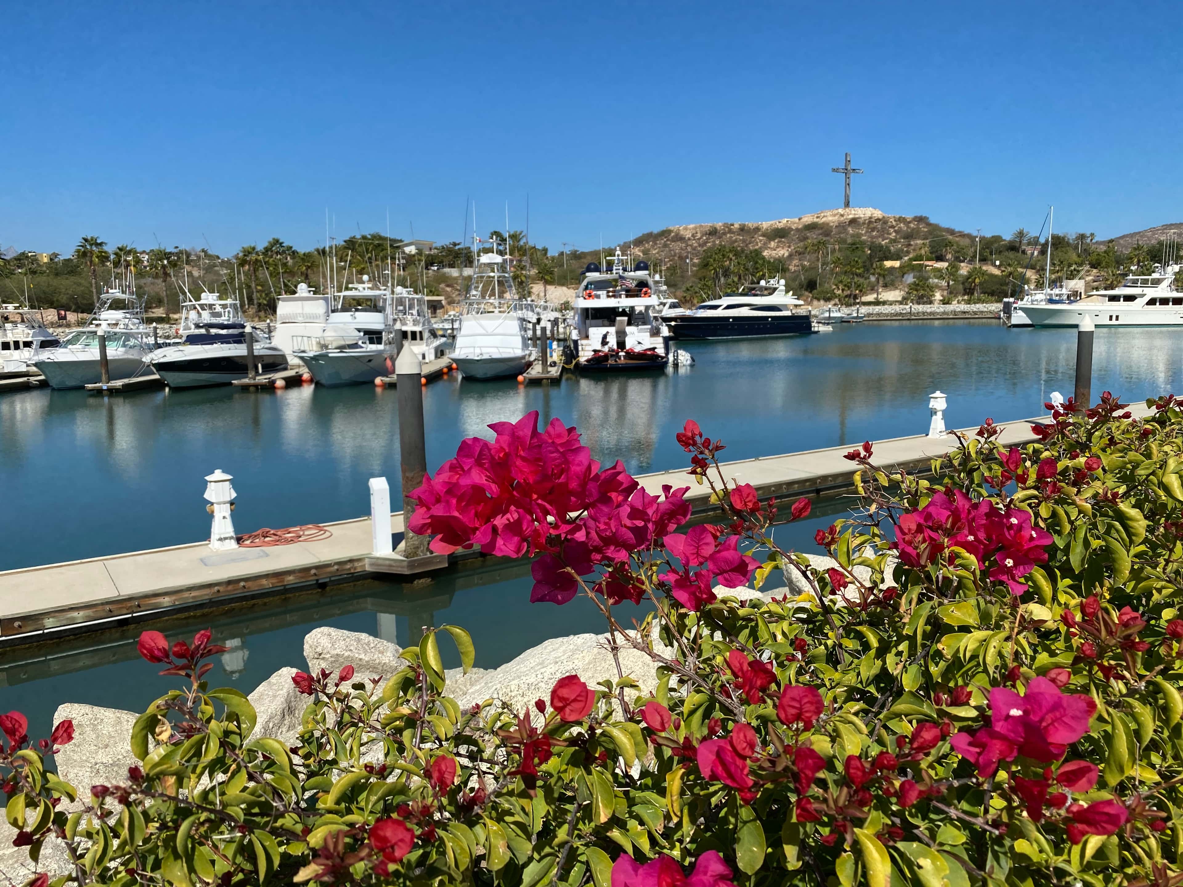Puerto Los Cabos Marina
